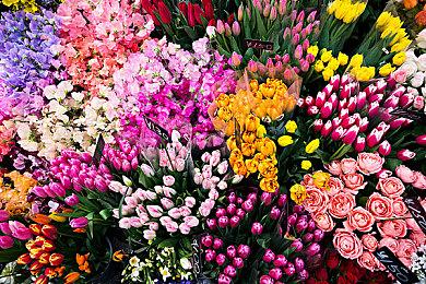 任天堂正在严查eShop中无码裸露与成人主题内容